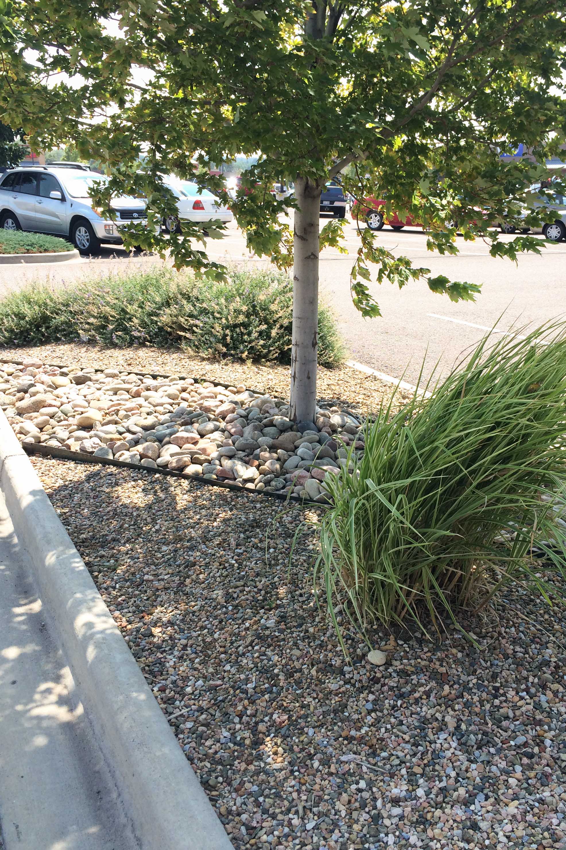 Median Mulch Medley
